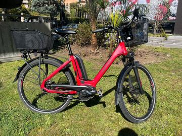 Bicicletta elettrica Gepida Reptila 800
