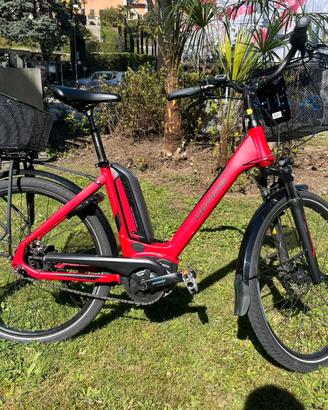 Bicicletta elettrica Gepida Reptila 800