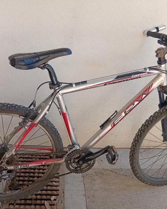 Mountain bike