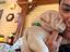 Immagine 3