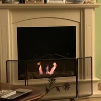 Caminetto a bioetanolo e 9 bottiglie di bioetanolo