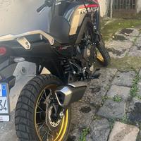 Translap 750 2025