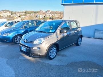 FIAT PANDA HYBRID CITY LIFE 70CV 2023