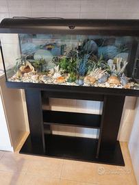 Acquario 100 litri