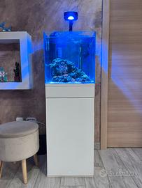 Acquario completo 40x40x40