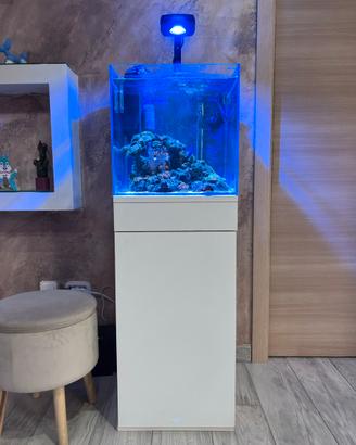 Acquario completo 40x40x40