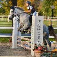 Super Pony prezzo interessante