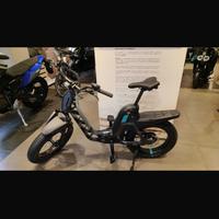 Bici elettrica