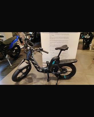 Bici elettrica
