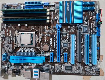 Scheda madre Asus P8P67 LE