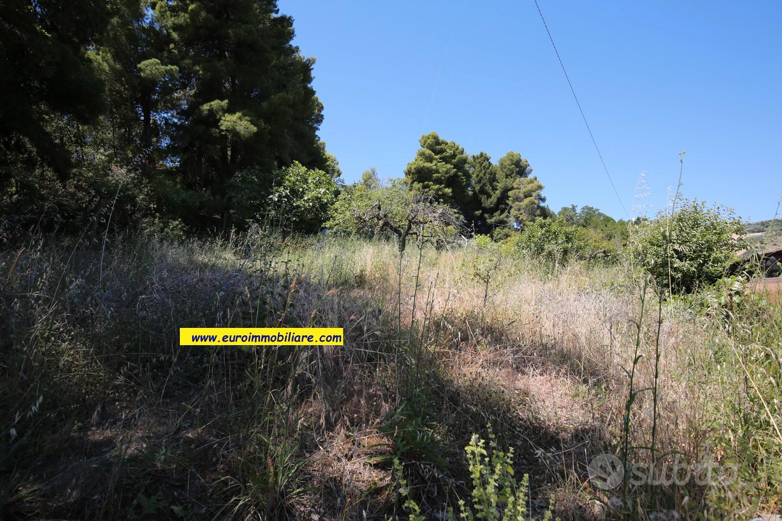 Terreno di 1 ettaro con fabbricato vista mare - Vista 2