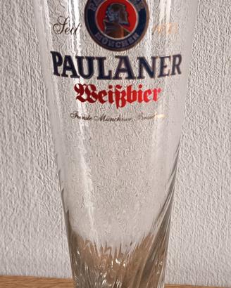 10 bicchieri birra 0,5l Paulaner nuovi