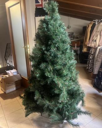 Albero Natale
