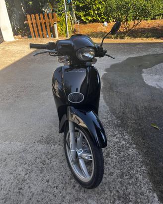 motorino 50 scarabeo 