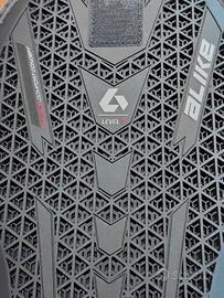 Paraschiena Alike Netshape Inside - 42/46