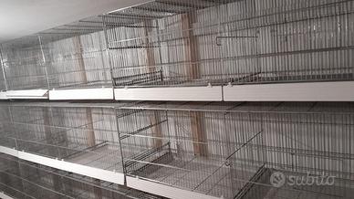 30 euro Gabbie da 120 e gabbia 90