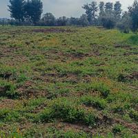 Terreno agricolo 6600 mq