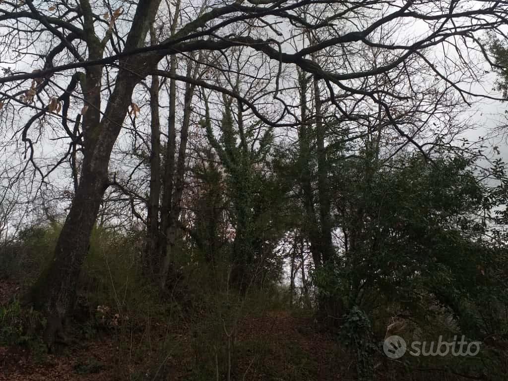Terreno di proprietà Norma - Vista 6