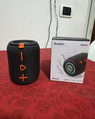 Cassa Stereo portatile