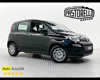 FIAT Panda 3ª serie - Panda 1.0 FireFly S&S Hybrid