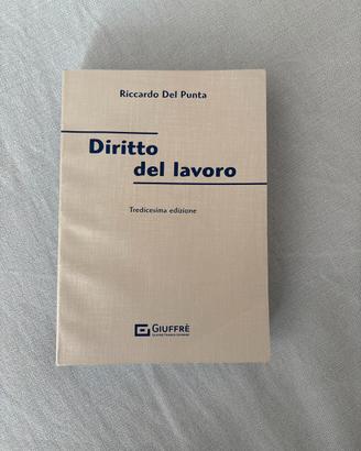Libro diritto del lavoro riccardo del punta nuovo