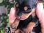 Immagine 1