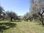 Immagine 8