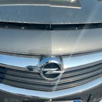 Mascherina anteriore Opel INSIGNIA