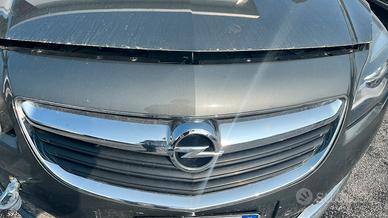 Mascherina anteriore Opel INSIGNIA