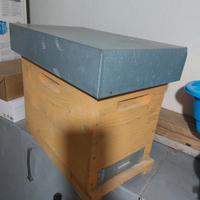 ARNIA 6 FAVI NUOVA 40 euro