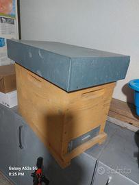 ARNIA 6 FAVI NUOVA 40 euro