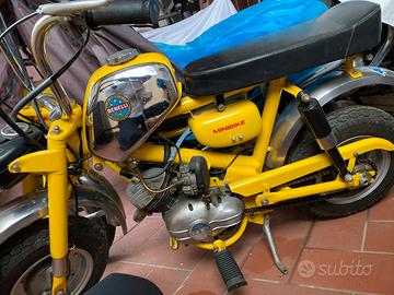 Benelli minibike