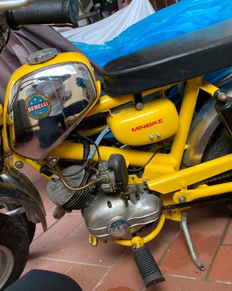 Benelli minibike