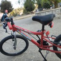 Bici 20 Mc Queeen