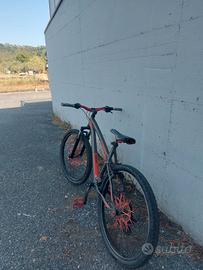 bici rock rider personalizzata