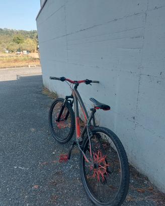 bici rock rider personalizzata