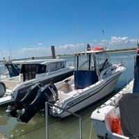 Grady white 248 voyager con 2 suzuki bf 150 cv