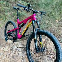 Santa cruz bronson CC