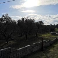 Terreno con uliveto e lamia