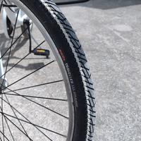 Bici ruota da 24 per ragazze