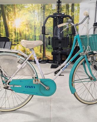 Bicicletta (olandese da passeggio)