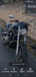 Yamaha Bulldog