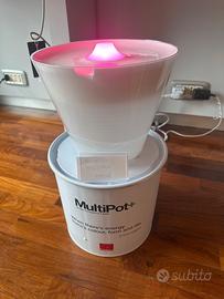 Lampada rotaliana multipot