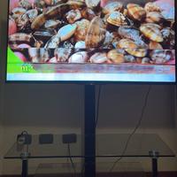 televisore Sony 55 pollici 