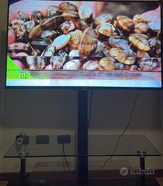 televisore Sony 55 pollici 