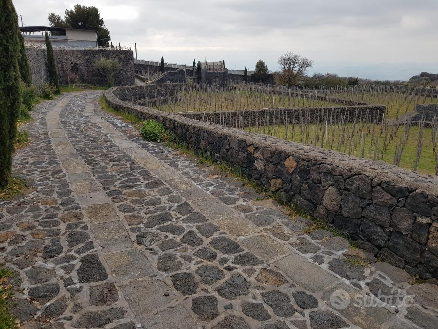 Tenuta di 4 ettari ( di cui 2 vigneto) - Altro