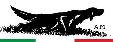Setter inglese-Breton-Springer-Pointer-Bracco