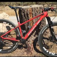 MTB 29 carbonio/ebike 