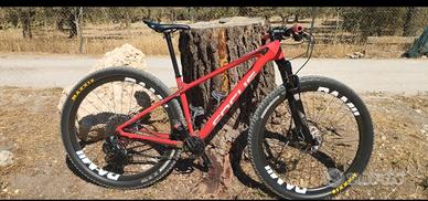 MTB 29 carbonio/ebike 