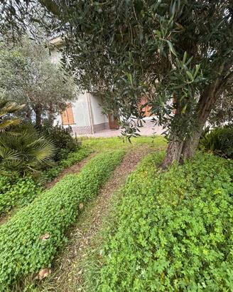 Semi indipendente libero su 4 lati con giardino